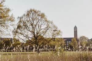 Property thumbnail 15