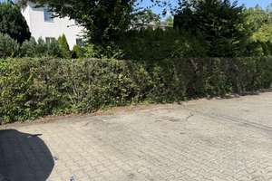 ***"Bezugsfreie 2-Zi.-ETW im 2. OG mit Balkon, Gemeinschaftsgarten und PKW-Stellplatz*** – Goethestr. 19, 12207 Lichterfelde, Berlin – Vorschaubild 9