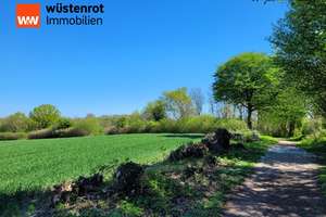 Wohnen am Naturschutzgebiet. Schönes RMH in toller Lage in Kiel – Die vollständige Adresse der Immobilie erhältst du vom Anbieter., 24109 Mettenhof, Kiel – Vorschaubild 5