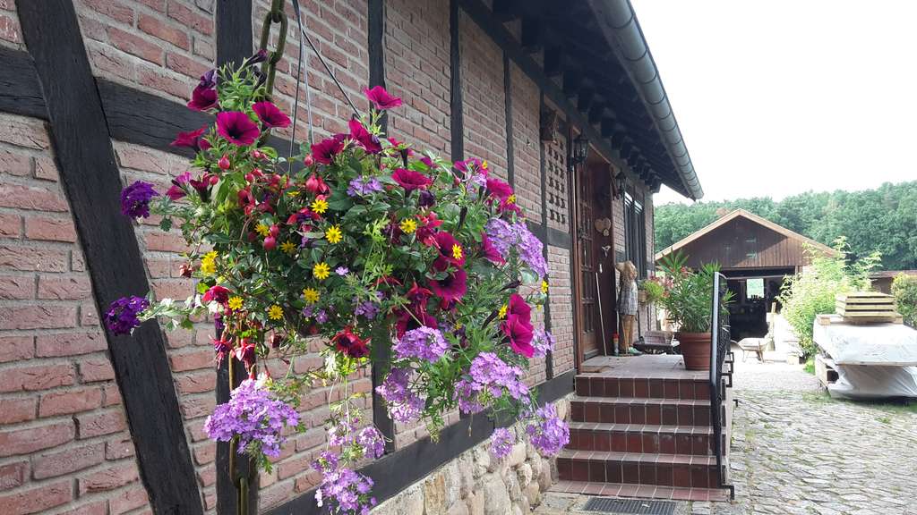 Immobilie in Nahrendorf - Traumhaftes Fachwerkhaus - von privat - Bild 1