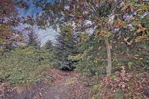 Wohnen am Waldrand, fussläufig vom Ortskern... – Cloppenburg (Kreis) – Vorschaubild 4