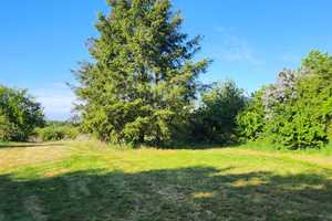 Villa mit großem Gartengrundstück – Barnim (Kreis) – Vorschaubild 16