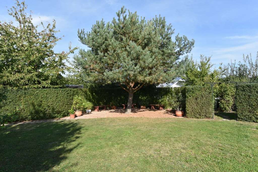 Immobilie in Oberbarnim - Stilvoll, großzügig, effizient - dieses Haus wird auch Sie begeistern - Bild 4