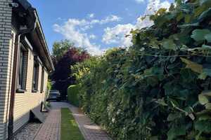 RESERVIERT!!! Einfamilienhaus auf ca.202m² + Vollkeller, Wellnessbereich und hochwertiger Ausstatt. – Herzogtum Lauenburg (Kreis) – Vorschaubild 54
