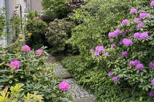 Bockum: Reihenendhaus mit wunderschönem Garten in kleiner Sackgasse! – Die vollständige Adresse der Immobilie erhältst du vom Anbieter., 47800 Bockum, Krefeld – Vorschaubild 5