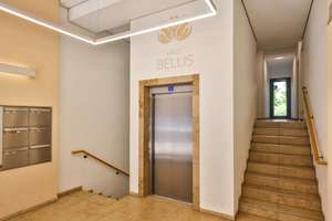 Property thumbnail 13