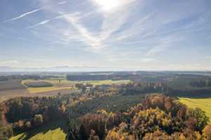 Hofanwesen mit Wald, Weiden, Wiesen und Äckern – Ebersberg (Kreis) – Vorschaubild 10