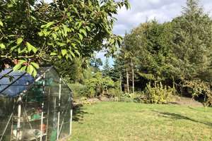 Freistehendes Einfamilienhaus mit Garage und großem Garten – Die vollständige Adresse der Immobilie erhältst du vom Anbieter., 28777 Rönnebeck, Bremen – Vorschaubild 6