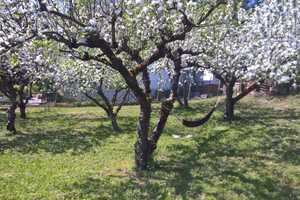 Charmantes Einfamilienhaus mit modernem Komfort und traumhaftem Gartenidyll – Kleines Binsach 9, 74219 Heilbronn (Kreis) – Vorschaubild 18