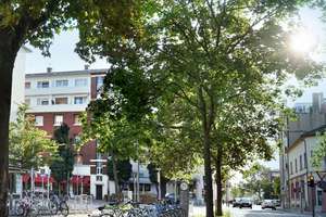 Komplett sanierte und vermietete Wohnung für Kapitalanleger in Ludwigshafen am Rhein – 67061 Süd, Ludwigshafen am Rhein – Vorschaubild 4