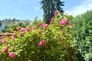 Moderne 2-Zimmer-Wohnung mit hochwertiger Einbauküche und Garten – Marahrensweg 16A, 30519 Wülfel, Hannover – Vorschaubild 5