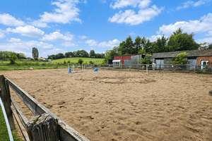 Reiterparadies nahe Weißenhäuser Strand – Pferdehof mit Weiden, Stallungen und PV-Anlage – Die vollständige Adresse der Immobilie erhältst du vom Anbieter., 23758 Wangels – Vorschaubild 8