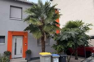 Exklusive DHH mit Baugenehmigung für DG Ausbau incl. Erstellung von 2- Gauben