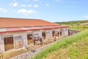 Reitanlage kaufen Bayern – mit gehobenem Wohnkomfort & umfassenden Trainingsbedingungen! – Die vollständige Adresse der Immobilie erhältst du vom Anbieter., 91477 Markt Bibart – Vorschaubild 13
