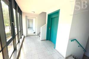 Ruhig und geräumig: 2 Zi. Wohnung mit SW-Balkon nahe Teltowkanal – 12247 Lankwitz, Berlin – Vorschaubild 8