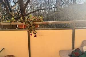 Leerstehende 2 Zimmerwohnung in Leutzsch mit Südbalkon zu verkaufen! – Die vollständige Adresse der Immobilie erhältst du vom Anbieter., 4179 Leutzsch, Leipzig – Vorschaubild 9