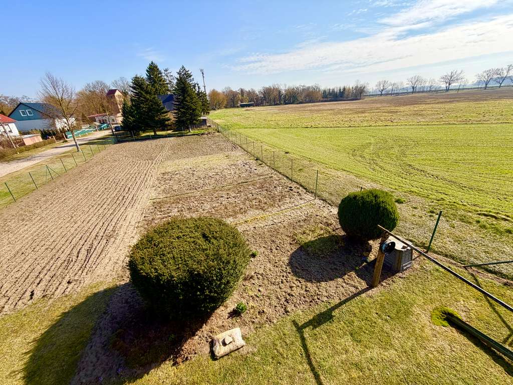 Immobilie in Letschin - Charmantes Einfamilienhaus auf großzügigem Grundstück & Entwicklungspotenzial in Letschin - Bild 2