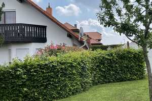 Ihr Mehrfamilienhaus in Monsheim - Charmant & Vielseitig – Alzey-Worms (Kreis) – Vorschaubild 22
