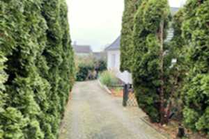 Exklusives Einfamilienhaus mit erstklassigem Ausblick in Lengerich! – Lindenstraße 28, 49525 Steinfurt (Kreis) – Vorschaubild 2