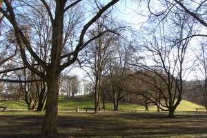 Wohnen am Luitpoldpark – Die vollständige Adresse der Immobilie erhältst du vom Anbieter., 80804 Am Luitpoldpark, München – Vorschaubild 7