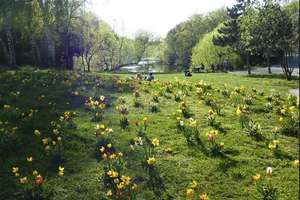 Property thumbnail 22