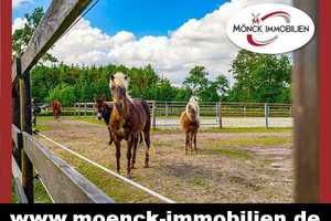 Top Angebot - Pferdehof mit Reitplatz, Halle, Scheune und Landhaus – Aurich (Kreis) – Vorschaubild 3