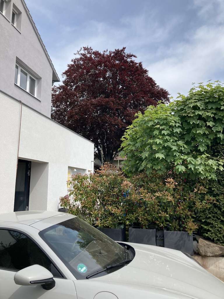 PF-Rodgebiet 1-2 Familienhaus in sehr ruhiger Toplage (Südhang) mit Blick auf den Schwarzwald
