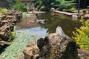 Ein Anwesen mit großem Hof, Garten und Scheune! – Laumersheim, Bad Dürkheim (Kreis), 67229 Bad Dürkheim (Kreis) – Vorschaubild 22