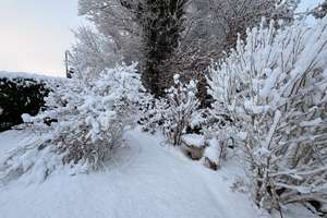 Property thumbnail 16