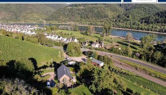 Bild von Einmaliges Weingut im Weltkulturerbe mit Seele und Substanz – ideal für Winzer und Investoren