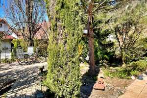 Stilvolles Einfamilienhaus mit Einliegerwohnung  – Breisgau-Hochschwarzwald (Kreis) – Vorschaubild 9
