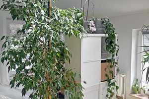 Vielseitiges Mehrgenerationenhaus mit großem Grundstück in begehrter ruhiger Lage. – Hamburg – Vorschaubild 21
