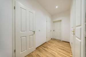 Frisch renoviert und kompakt – modernes 1 Zimmer Appartement in Stötteritz – Die vollständige Adresse der Immobilie erhältst du vom Anbieter., 4299 Stötteritz, Leipzig – Vorschaubild 5