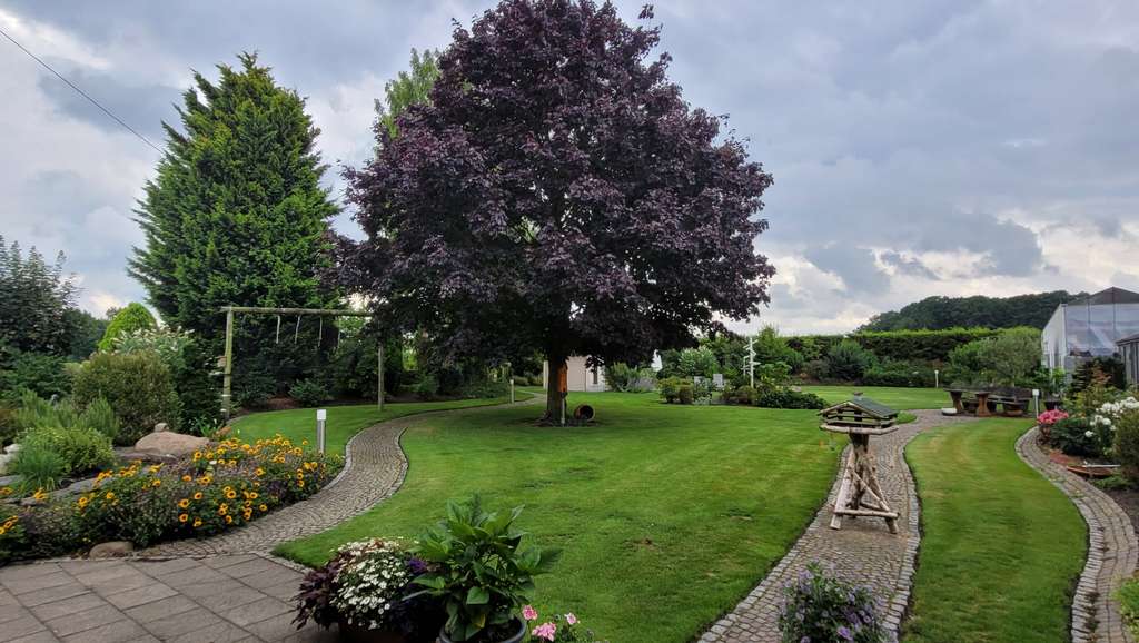 Immobilie in Wadersloh - Exklusives und großes Wohnhaus mit viel Platz um Wohnen und Arbeiten an einem Ort zu vereinen - Bild 2