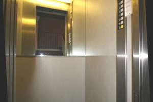 Blick auf den Luisenpark: Großzügige 5-Zimmer-Wohnetage mit Aufzug in Mannheim-Oststadt – Renzstraße 7, 68161 Schwetzingerstadt/Oststadt, Mannheim – Vorschaubild 61