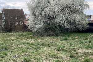 Gemütliches "Hexenhäuschen" mit großem Gartenanteil in Neuberg – Main-Kinzig-Kreis – Vorschaubild 6