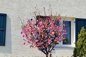 Idyllisches Landhaus in ruhiger Lage – Walchsing bei Aldersbach  // Provisionsfrei // – Osterhofener Straße 2, 94501 Passau (Kreis) – Vorschaubild 39