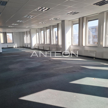 Flexible Raumaufteilung I Terrasse I Modern & flexibel