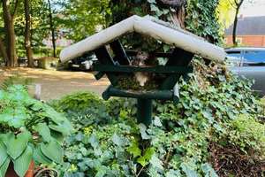 Property thumbnail 7