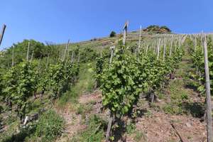 3 Häuser in bester Altstadtlage von Zell als attraktive Rendite mit Gastrobetrieb – Die vollständige Adresse der Immobilie erhältst du vom Anbieter., 56856 Zell (Mosel) – Vorschaubild 22