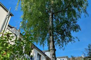 Bezugsfertig, 2-Zimmer-ETW im Dachgeschoß mit Terrasse im begehrten Wohnviertel Köln-Ehrenfeld! – Baadenberger Straße 4, 50825 Neuehrenfeld, Köln – Vorschaubild 4