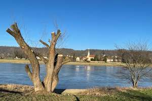 Gartenwohnung im Grünen - Top Lage!