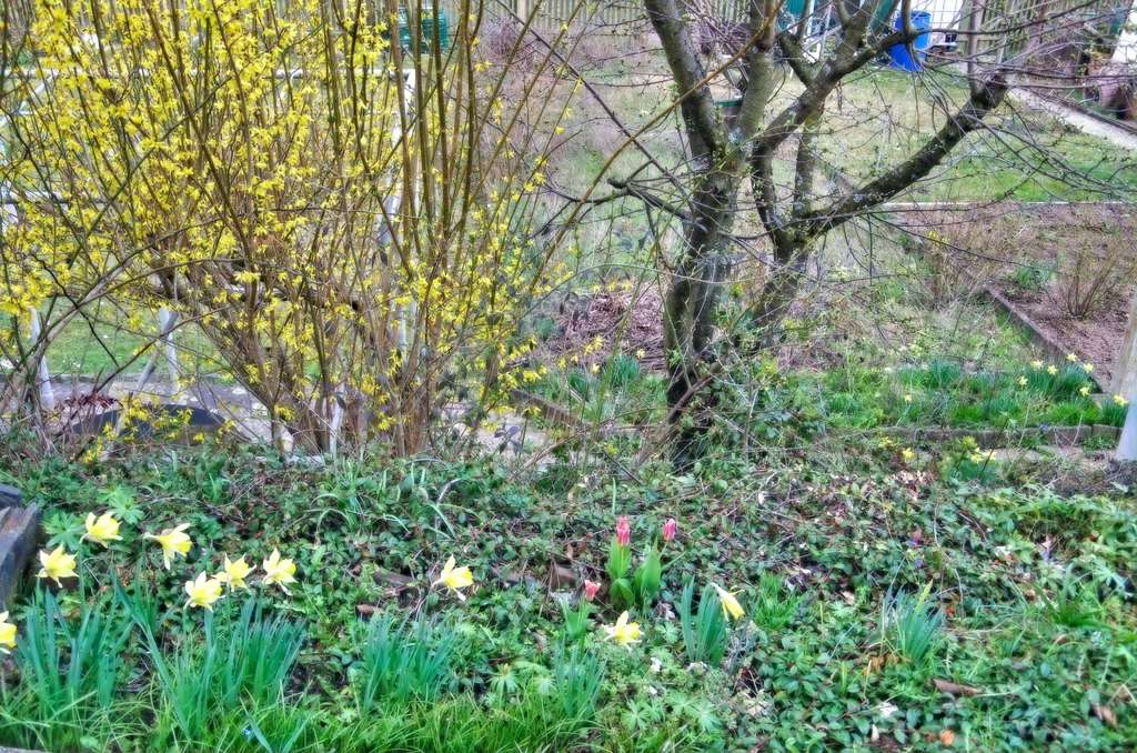 Immobilie in Rudolstadt - Charmante Eigentumswohnung mit kleinem Garten in ruhiger Lage von Rudolstadt  - Bild 2