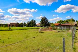 +Gehöft mit Zweifamilienhaus -Gewerbeflächen ca.300QM-Landwirtschaftsflächen ca.6500QM+ – Die vollständige Adresse der Immobilie erhältst du vom Anbieter., 3185 Tauer – Vorschaubild 14