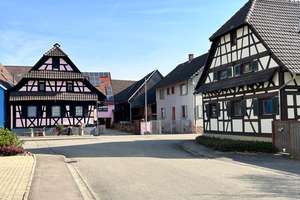 Tolles familienfreundliches MFH, zeitnaher Einzug nach Vereinbarung in 2 Wohnungen möglich! – Die vollständige Adresse der Immobilie erhältst du vom Anbieter., 77966 Kappel-Grafenhausen – Vorschaubild 6