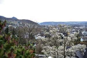 Renovierte 3-Zimmer Dachgeschosswohnung in Bonn-Oberkassel – Kucksteinweg 2, 53227 Oberkassel, Bonn – Vorschaubild 9