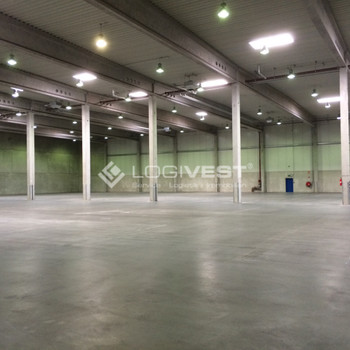 RAMPEN | AIRPORT | 4.000m² LOGISTIKFLÄCHE