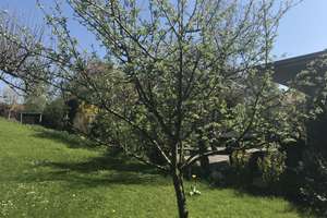 Traumhaus mit fantastischer Einliegerwohnung am Waldrand (Tobel) in Überlingen - Hödingen – Die vollständige Adresse der Immobilie erhältst du vom Anbieter., 88662 Überlingen – Vorschaubild 118