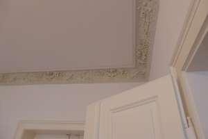 Vergoldeter Pfauenstuck - Ansprechende Wohnung in Dresdner Elbnähe! – Weimarische Straße 1, 1127 Pieschen-Süd, Dresden – Vorschaubild 7