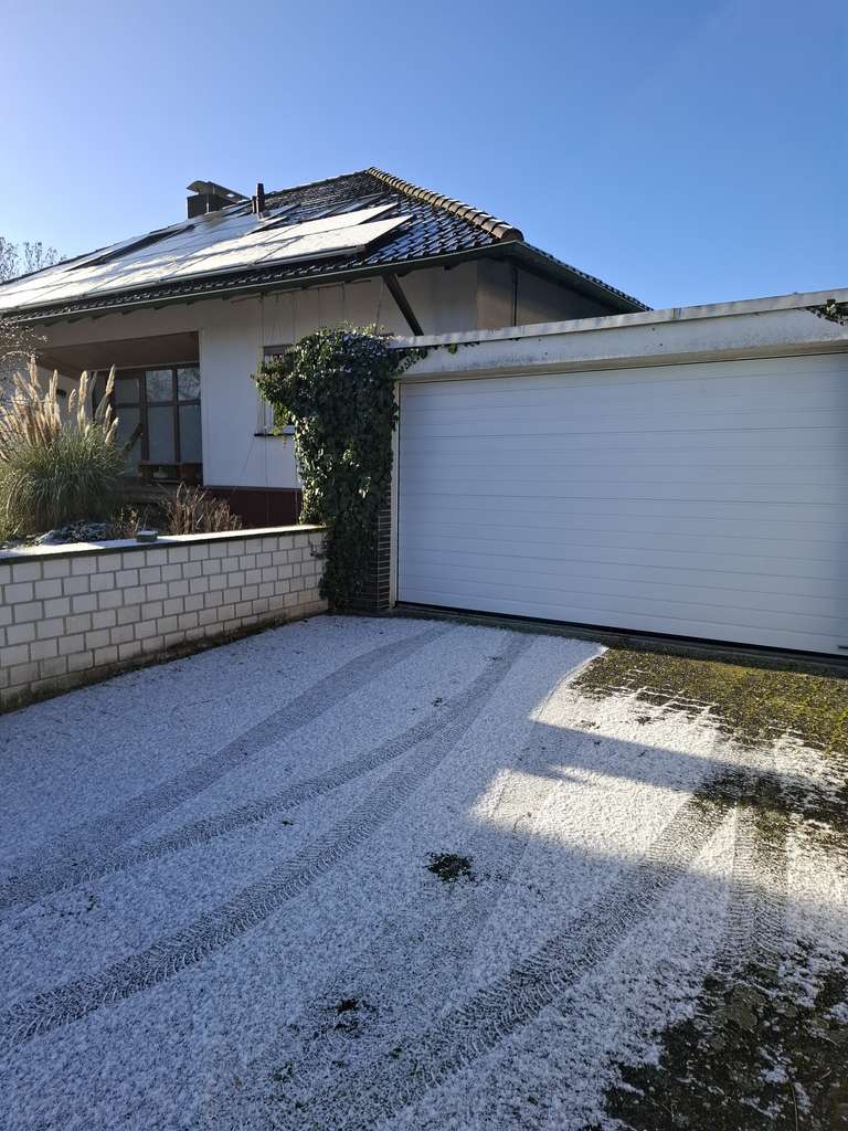 Immobilie in Seligenstadt - Blick ins Naturschutzgebiet - Bild 1